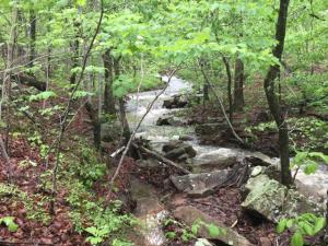 Nice secluded wooded parcel; lots of potential; creek at base of property with rural water available.