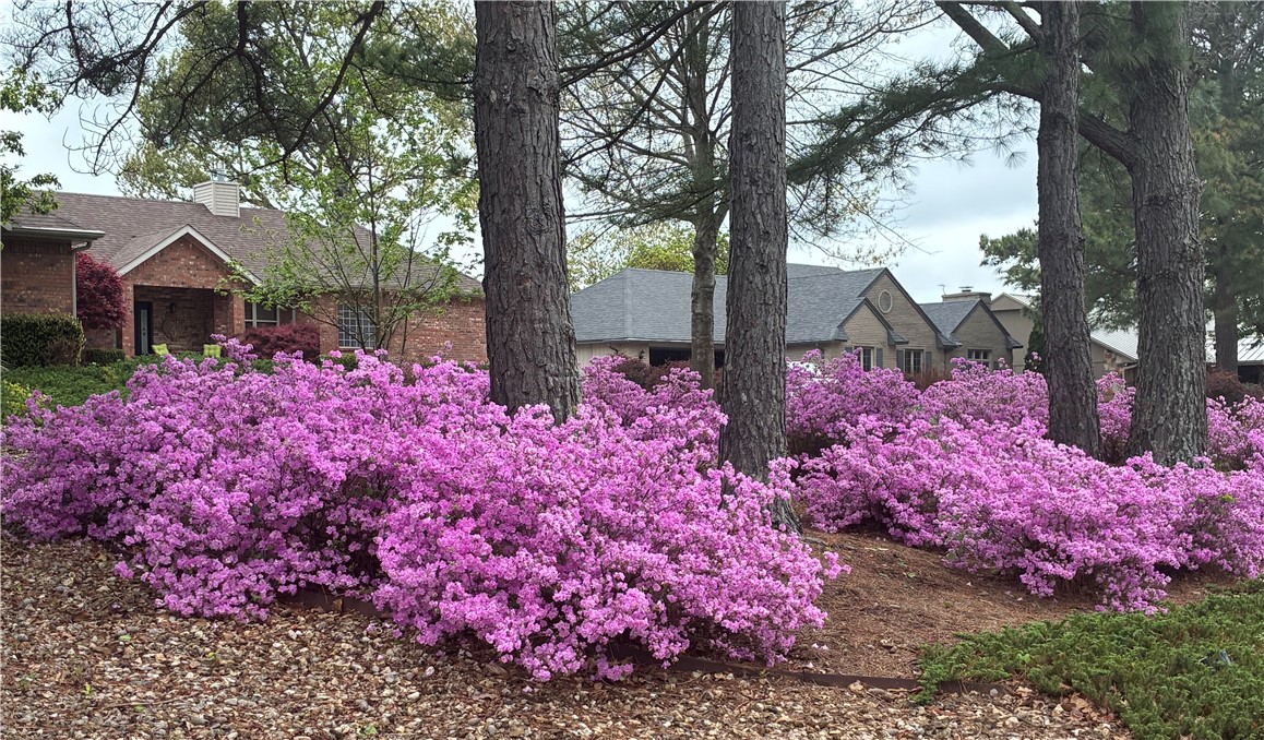 New Galloway Sub Bvv - Residential