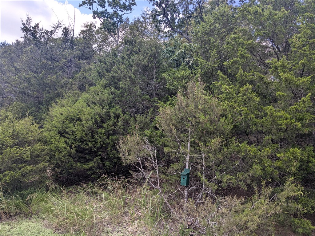 Unit 115 Holiday Island - Land