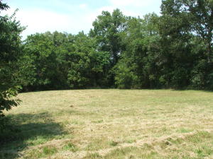 Nice building lot in small town of Gilbert, AR., nestled in the Ozark Mountains and is adjacent to the Buffalo River and Buffalo River National Park. Walk to the river from this pretty lot. Serenity at its best. Check it out!