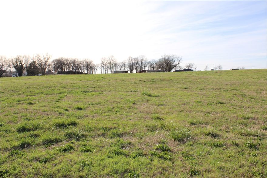 Nestled in a quiet subdivision in Tontitown, this beautiful 2.28-acre lot offers the perfect blend of space, privacy, and convenience. Featuring gently rolling hills, the property provides a picturesque setting for your future home while still allowing plenty of open space to design the layout you’ve always envisioned.

Located in a small subdivision with larger estate-sized lots, the property includes protective covenants to help maintain the quality and character of the neighborhood. Water, electric, and natural gas are available at the street, and a septic system will be needed.

With a minimum build requirement of 2,500 square feet, this lot is ideal for creating a spacious custom home surrounded by nature. Enjoy peaceful country-style living while still being just minutes from the conveniences of Northwest Arkansas.

Bring your builder and start planning your dream home today.