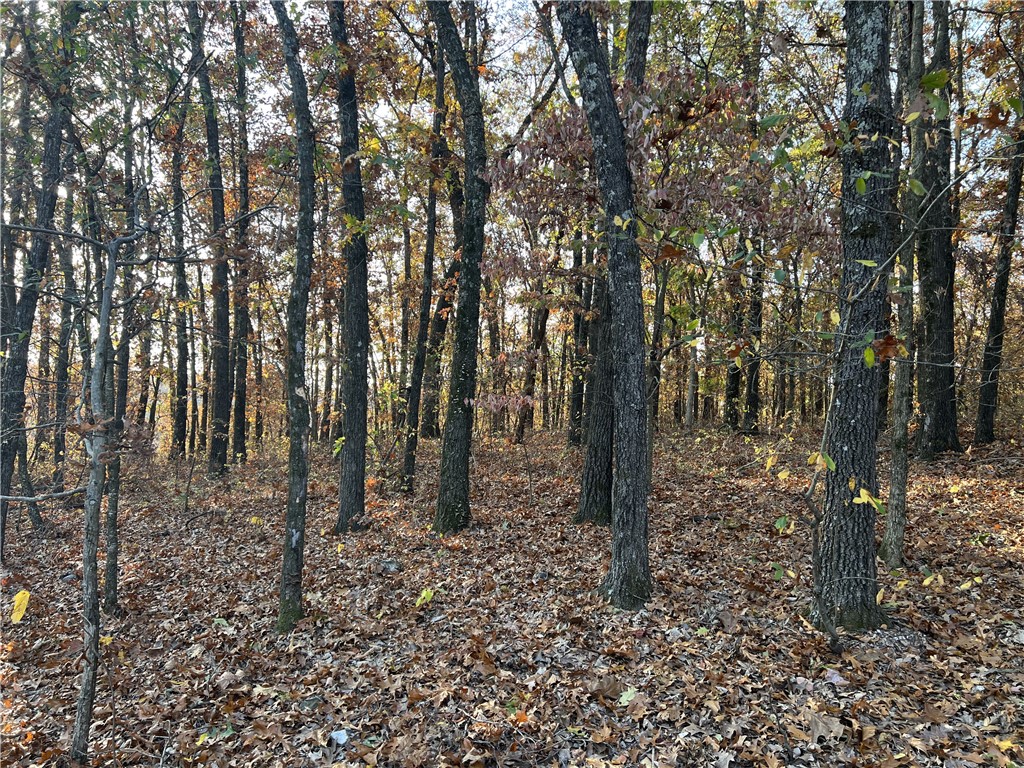 Nice View from this 37.64 Acres m/l. The property features a level spot to build with lots of hardwood trees, small spring, no property restrictions, paved road, and electric is available. Call today to schedule a showing.