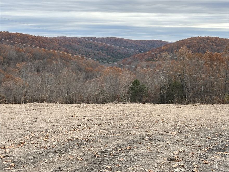 Nice View from this 37.64 Acres m/l. The property features a level spot to build with lots of hardwood trees, small spring, no property restrictions, paved road, and electric is available. Call today to schedule a showing.