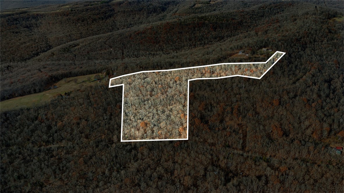 Tracts of gorgeous Ozark mountain land less than 30 minutes away from the heart of Fayetteville is ready to be yours. Perc test has been completed, and small rudimentary driveway has been added to the bottom parcel that touches Chimney Field road. Flat spot up at the top of the property. Youāll find bluff side, huge boulders, mature hardwoods, some cleared mostly wooded, with wildlife abound. Deer, bear, bald eagle, foxes, and more⦠Absolutely perfect site for that cabin, vacation rental, RV/Camper.
Lot 5 is 20988 chimney field rd officially.
Official address one below TBD
Lot 38 still awaiting assignment