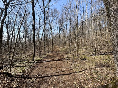 Unimproved Land in Winslow AR 20988 Chimney Fields Rd 10.jpg