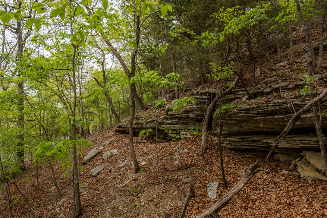 Pointe Clear Heights - Residential