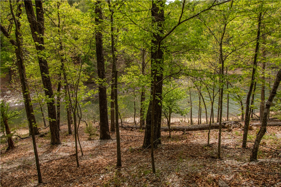 Pointe Clear Heights - Residential