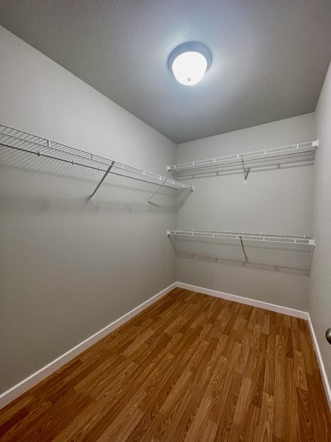 Foxglove - Residential Lease