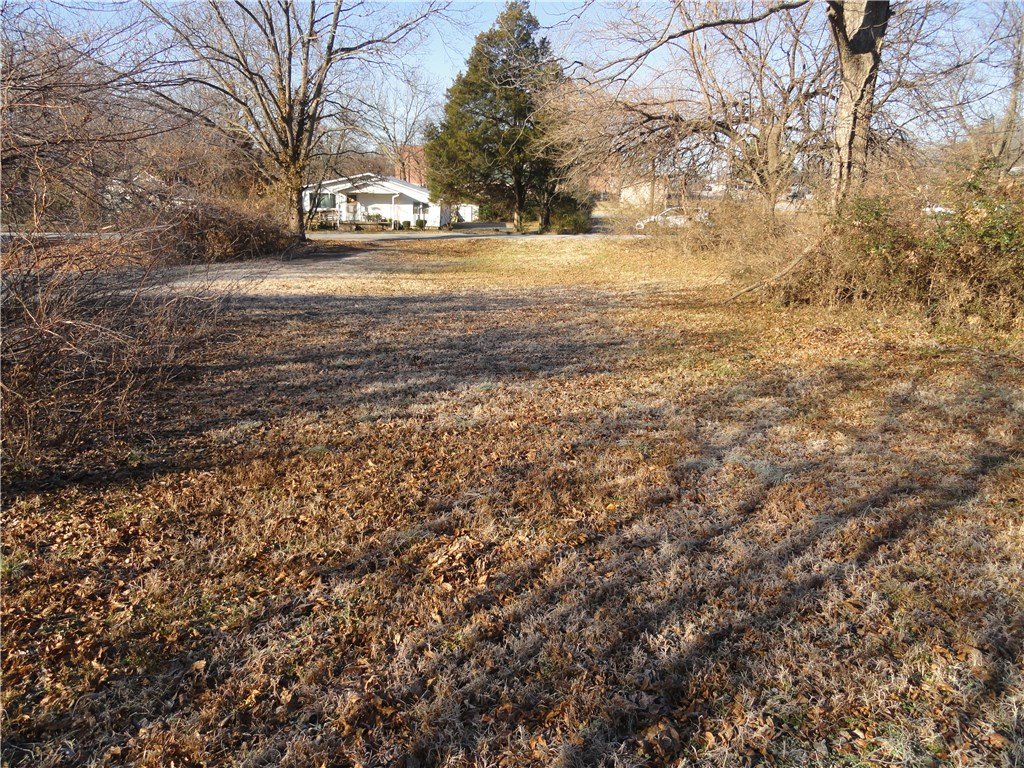 These four lots are situated in the highly desirable area in south Fayetteville. To have this many adjoined and offered together is a real rarity!