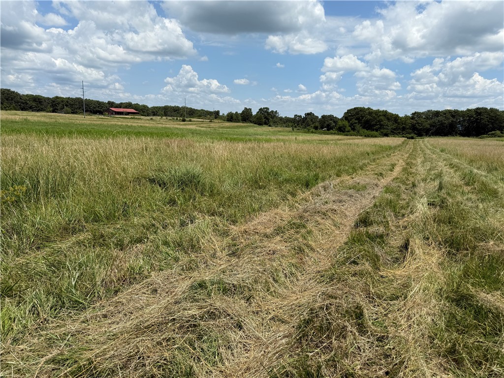 Land! Land! Land! Here's over 13 acres ready for a new owner. Beautiful open pasture with multiple building sites. Just a short drive to Fayetteville or Siloam Springs and minutes from Lake Wedington or Lincoln Lake for fishing, kayaking or hiking. No deed restrictions.