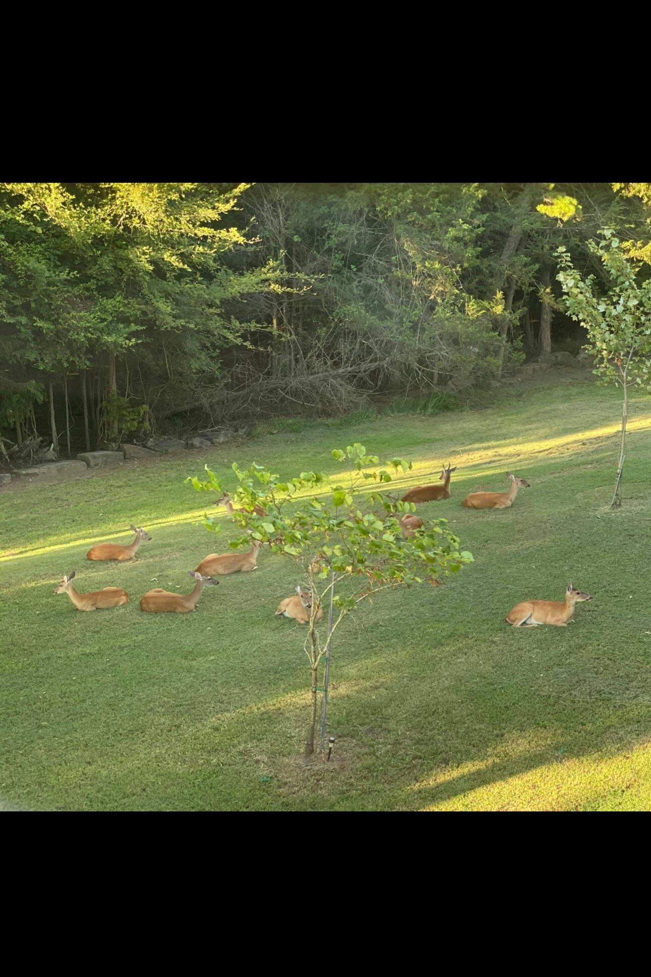Other Subdivision in Johnson Co - Residential