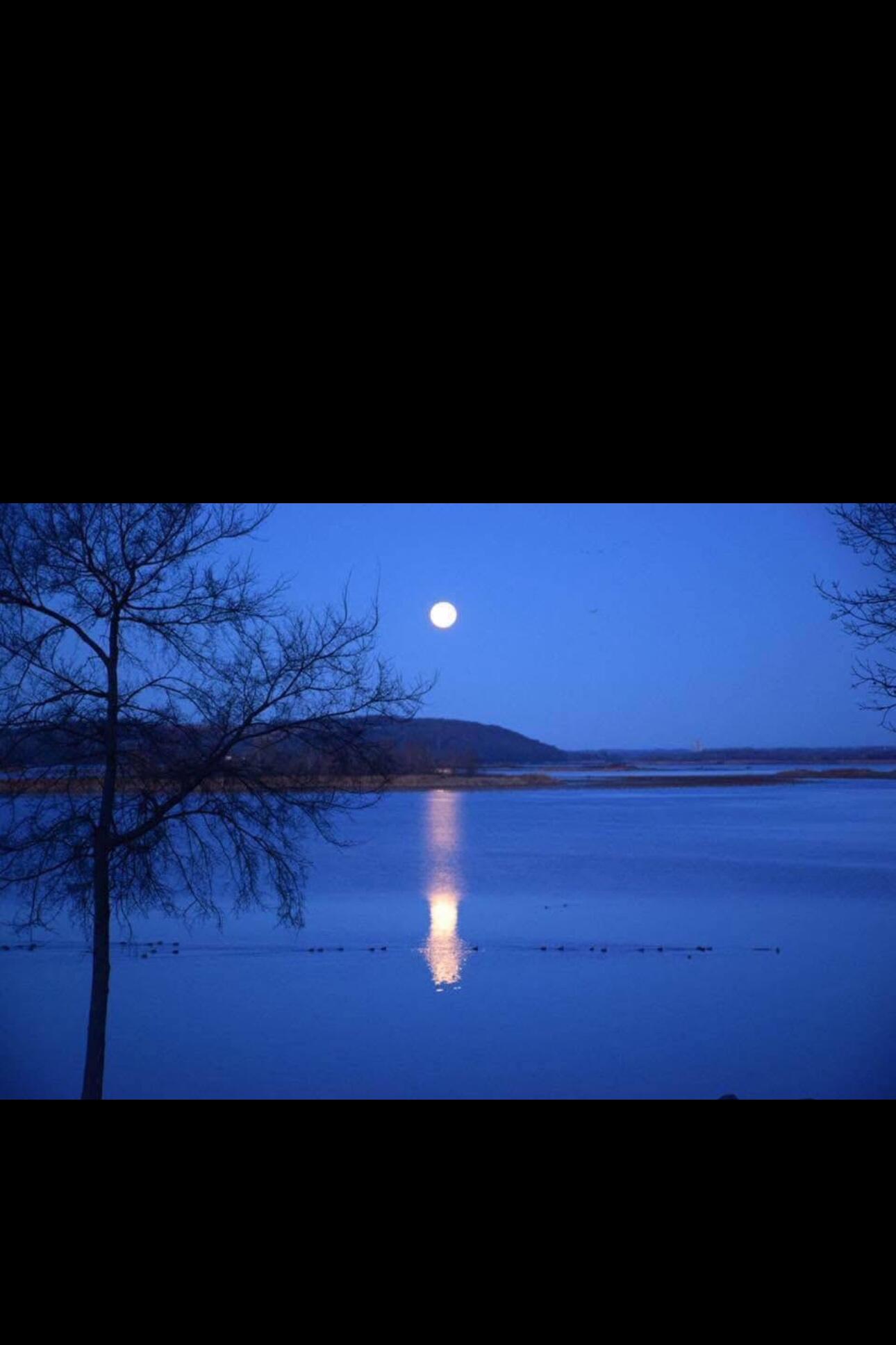 Other Subdivision in Johnson Co - Residential