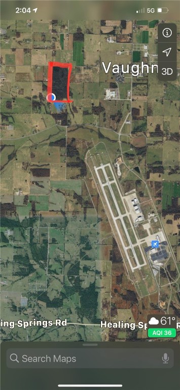 Main image without alt text