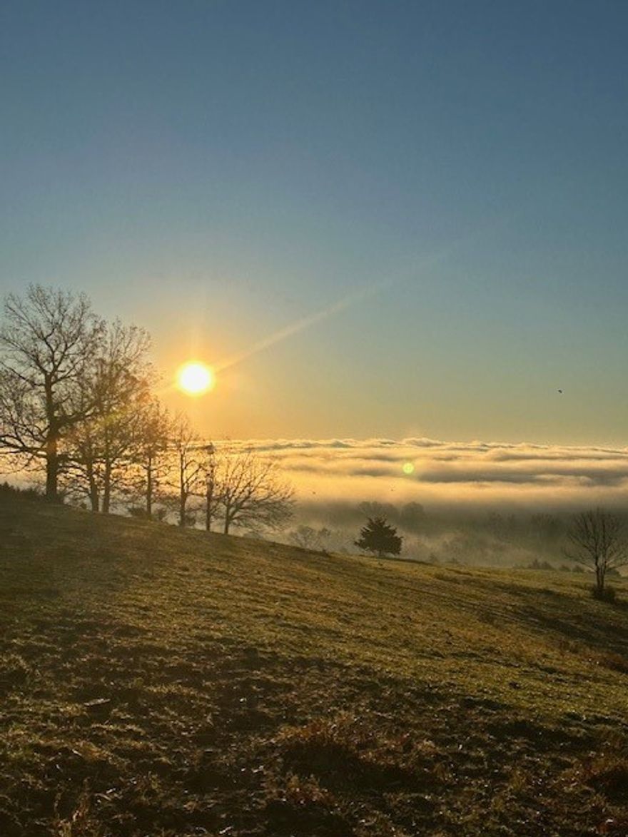 Welcome to your dream home, where breathtaking panoramas of the Ozark Mountains and the Buffalo River Valley stretch as far as the eye can see. Custom-built in 2018 with efficiency and comfort in mind, this unique property offers the perfect blend of natural beauty, modern convenience, and rural charm.

Step outside and you'll find the real showstopper — a million-dollar view that changes with the seasons and never gets old.

Entertain guests around the inviting fire pit, take a dip in the above-ground pool, or relax under the stars after a day of hiking. For those who love country living, there's a fully functional chicken house (chickens included!) — fresh eggs and a taste of farm life right in your backyard.

Need space for projects, storage, or hobbies? The 40x50 shop is ready for anything, whether you're a craftsman, collector, or entrepreneur.

Do you have some four legged family members? This 8 acre parcel has rich soil that provides abundant grass aprox 8 months out of the year in normal weather.