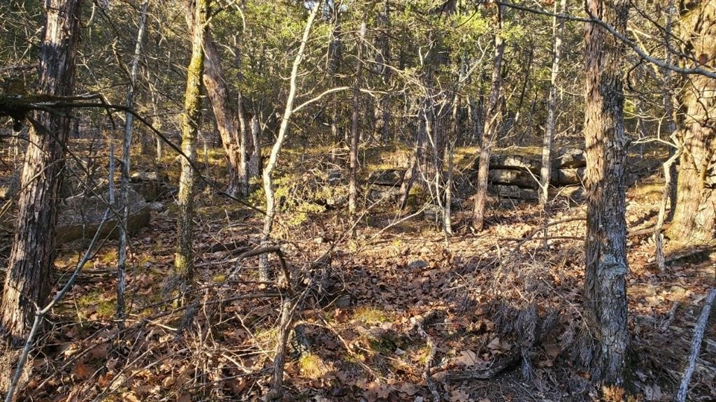 Unit 12 Holiday Island - Land