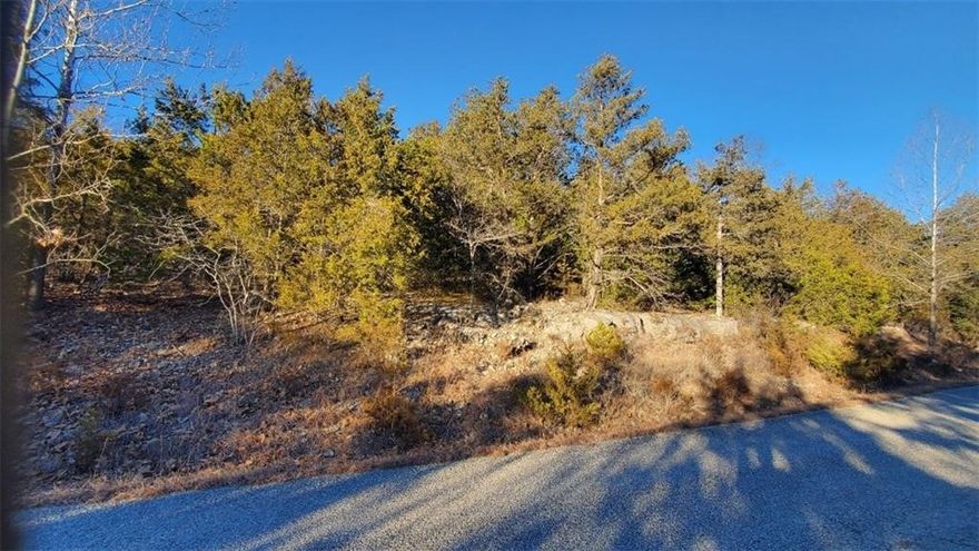 Escape the City!  Enjoy lakes, fishing, boating, quiet time, privacy and playing golf, then you're going to love this place!  Stunning Holiday Island is like living a vacation lifestyle all year round.  Also just minutes to the beautiful Eureka Springs. Holiday Island is a 4,500 acre planned community that has incorporated into the City of Holiday Island.  Amenities include a marina, two golf courses, driving range and walking trail, as well as a recreation center with tennis courts, two swimming pools, children's playground, miniature golf, horseshoes, pickle ball court, softball field and a club house with banquet and rental facilities.  Holiday Island golf courses, restaurants and Beaver Lake and Table Rock Lake at your fingertips.  This 0.31 acre lot is ready to build your dream home on.  It is lightly wooded, so easy clearance to prepare for building.  Call today for a tour of this property.