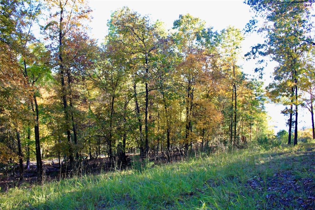 Woodlake Estates - Land