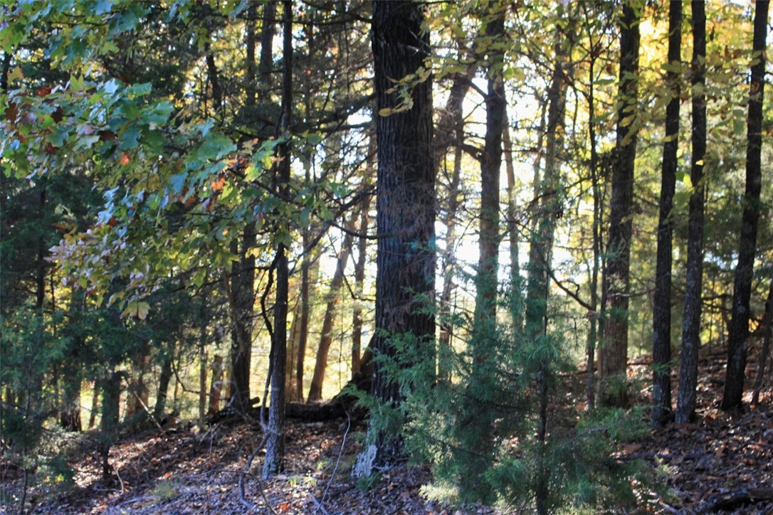 Woodlake Estates - Land