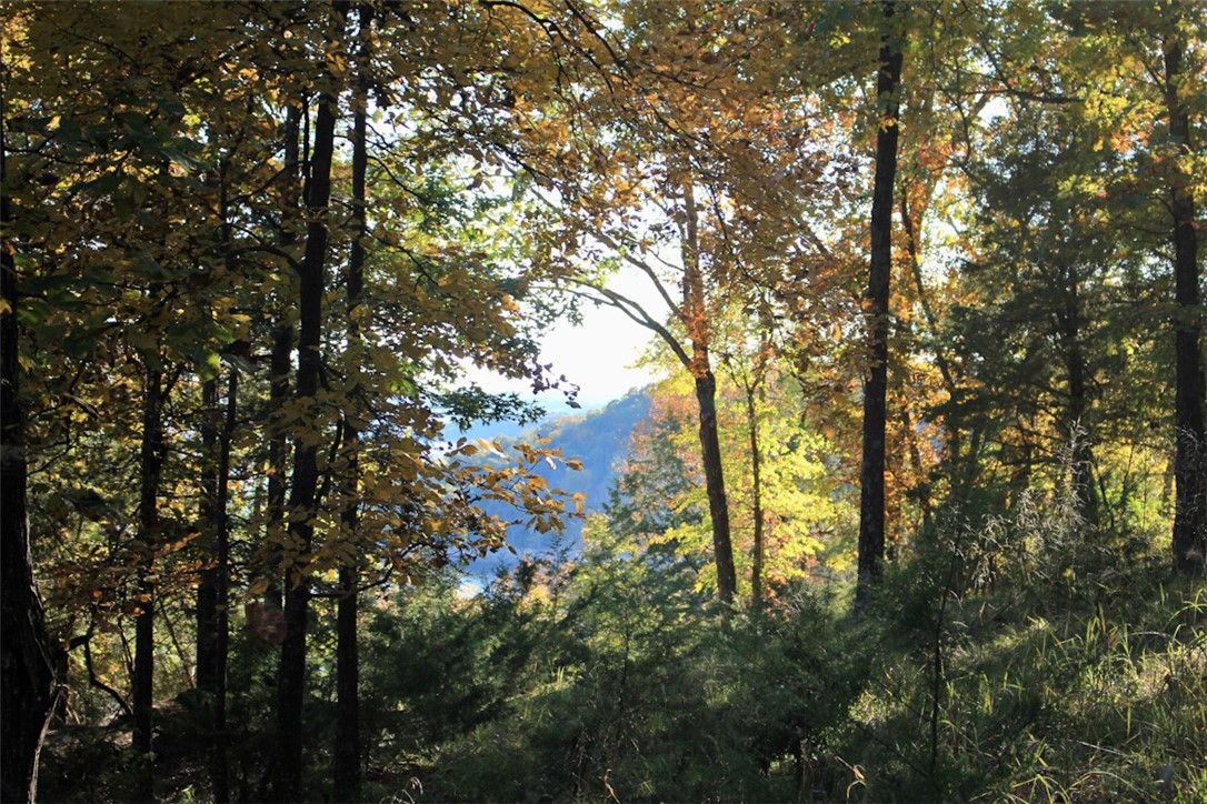 Woodlake Estates - Land