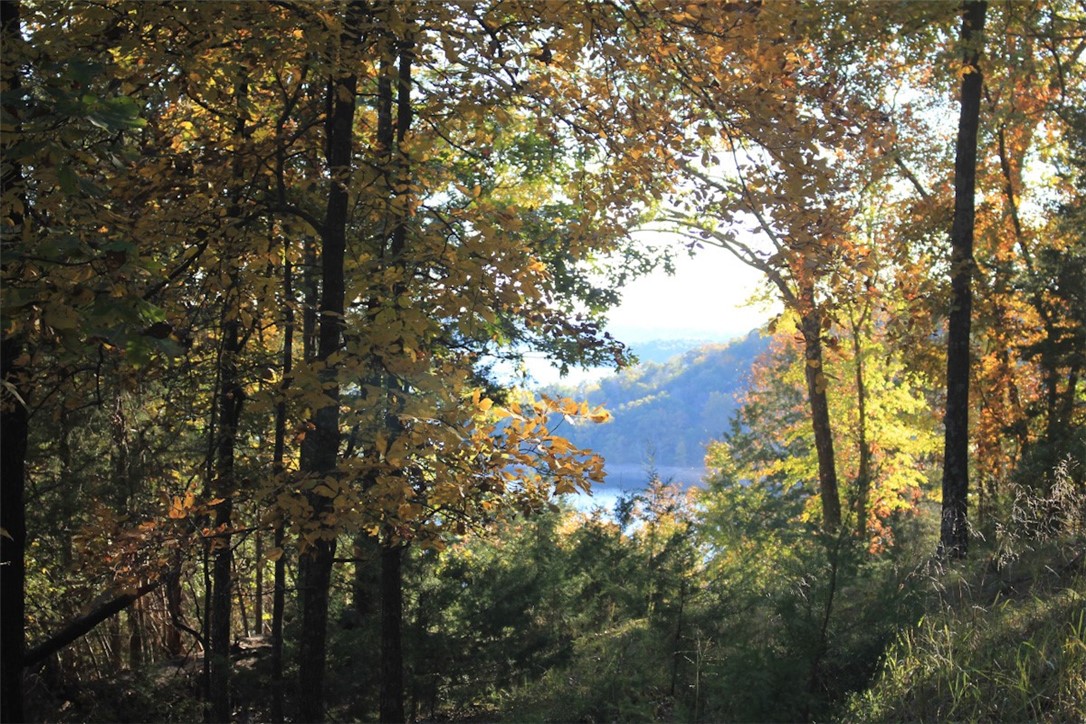 Woodlake Estates - Land