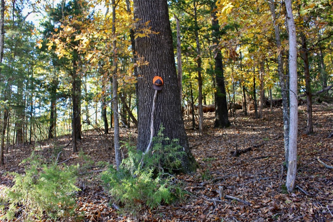 Woodlake Estates - Land