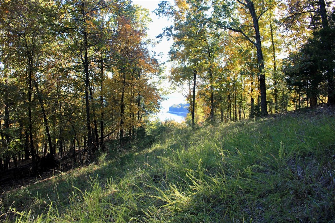 Woodlake Estates - Land