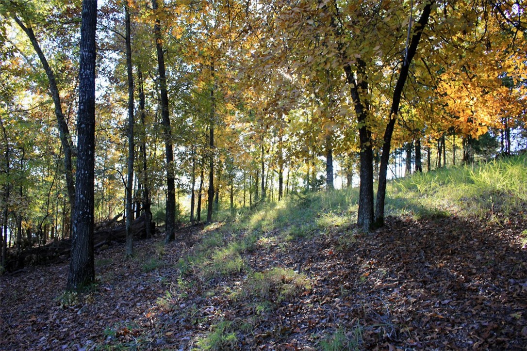 Woodlake Estates - Land