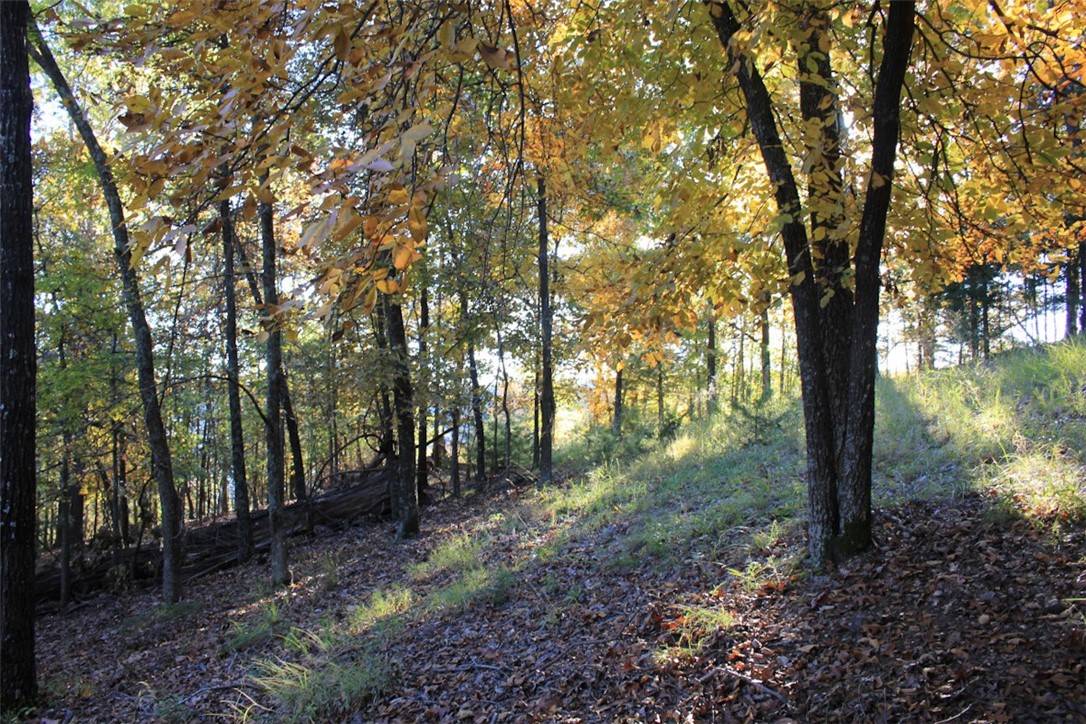 Woodlake Estates - Land