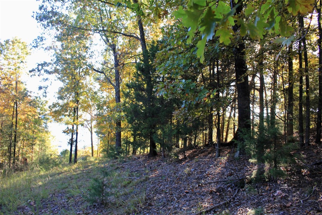 Woodlake Estates - Land