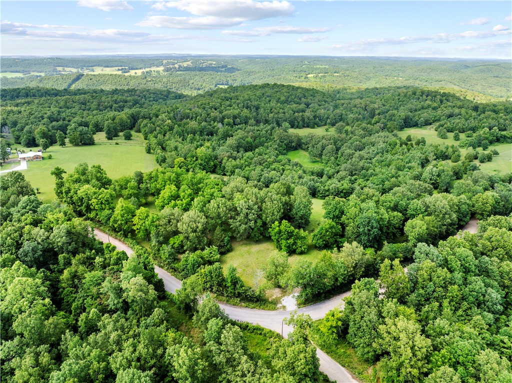 GREAT INVESTMENT OPPORTUNITY IN THE OZARKS!! This 10-acre parcel is located less than 3 miles from the Buffalo National River, just outside of Gilbert, and has NO restrictions.
The proximity to the river, combined with the freedom to develop as you choose, makes this property a rare opportunity for short-term rental income or long-term appreciation. Accessible by county road and surrounded by natural beauty, itās the perfect spot to capitalize on the steady demand for outdoor tourism in the area. Schedule a privateāāāāāāāāāāāāāāāāāāāāāāāāāāāāāāāā showing!
