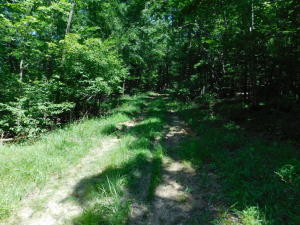 12 wooded acres near the Buffalo River National Park and the Ozark National Forest. Near Jasper, Arkansas and between 2 put-in locations on the Buffalo River. Electric and rural water on property. Lays nice, good building sites.