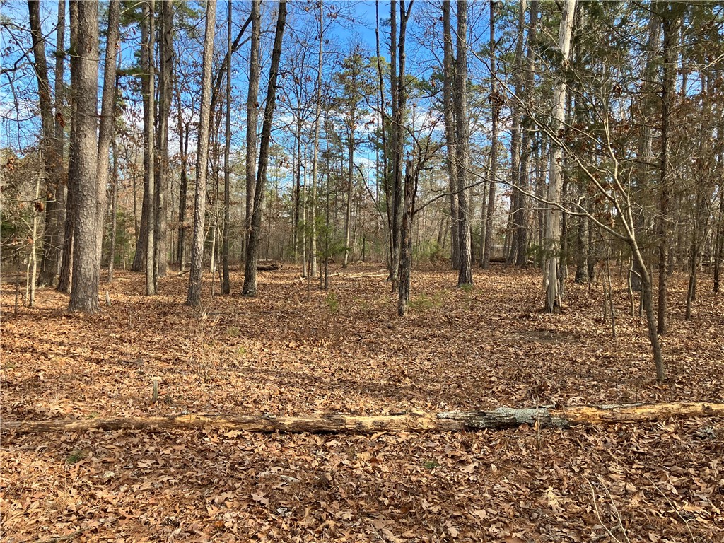 Are you looking for land to build your dream house, or maybe some hunting land to build a cabin? Here is 11 acres m/l that would be great for either! Mostly level, wooded acreage with county road going through property and bordering North end. Good hunting property that is also located between the Marble access and Marshal Ford access of the Kings River! Utility availability is the responsibility of the buyer or buyers agent.
