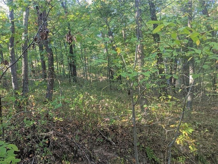 Lovely gentle sloped lot with a superb Location! Equal distance to Lake Avalon and Lake Windson as well as minutes from some of Bella Vistas amazing bike trails.