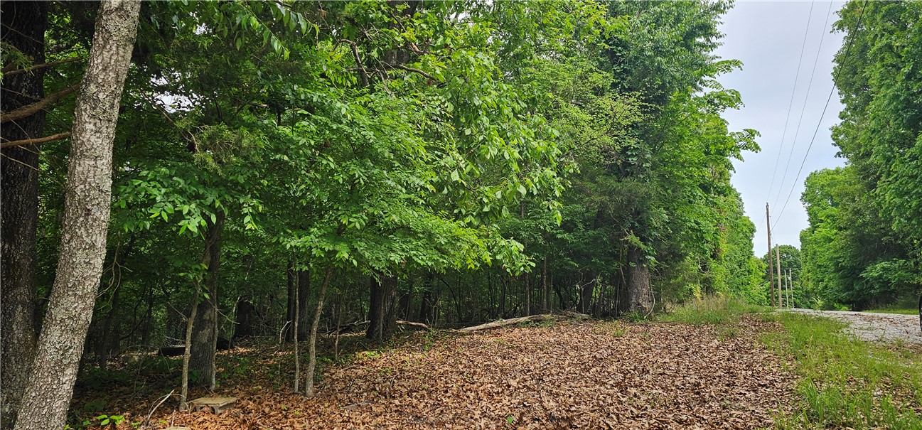 Photo 1 of 2 — 14215 Frisco Springs Road, Lowell, AR 72745