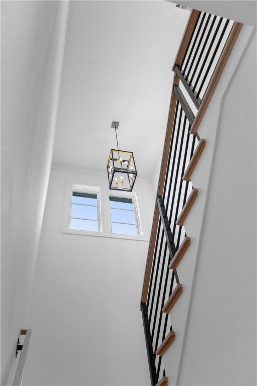 Aurora Heartbeat - Residential