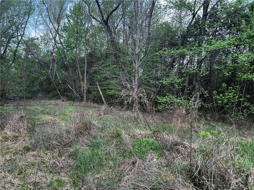 0.43 acre lot located in Russellville with a nice setting and plenty of potential. Public water and sewer available at the street. Convenient location just minutes from town, schools, and local amenities. Property is landlocked.