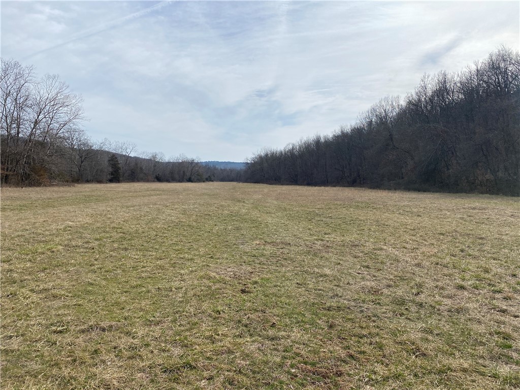 40 acre hunting and recreational proerty located just 12 miles south of Huntsville Arkansas located in the Ozark mountains and 45 minutes to Fayettville Arkansas . Property has lots of potential whether it be hunting or a weekend getaway for camping or atv riding . This property offers open flat pasture along with hardwood timber and the Ferrels creek running through the property also there is electricity and a septic system in place for a future house site or camper dont miss this beautiful property.