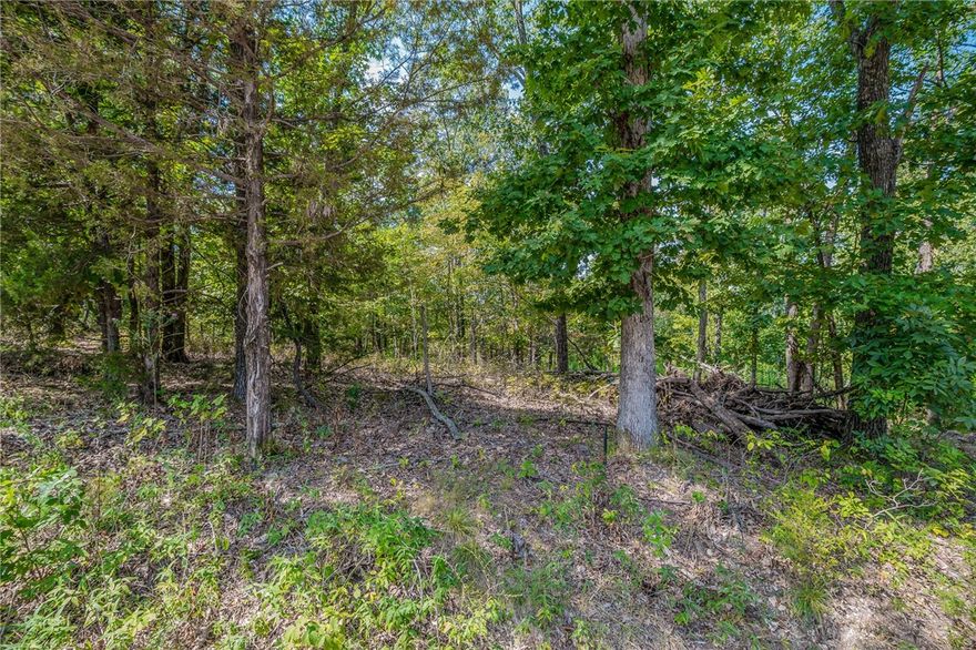 Fantastic location. Gorgeous wooded lot on quiet street close to Lake Loch Lomond, Scotsdale Golf Course and Tunnel Vision Trail. Enjoy Lakepoint Restaurant & Marina nearby and many other amenities the Bella Vista community offers. Highly desirable area offering many conveniences.