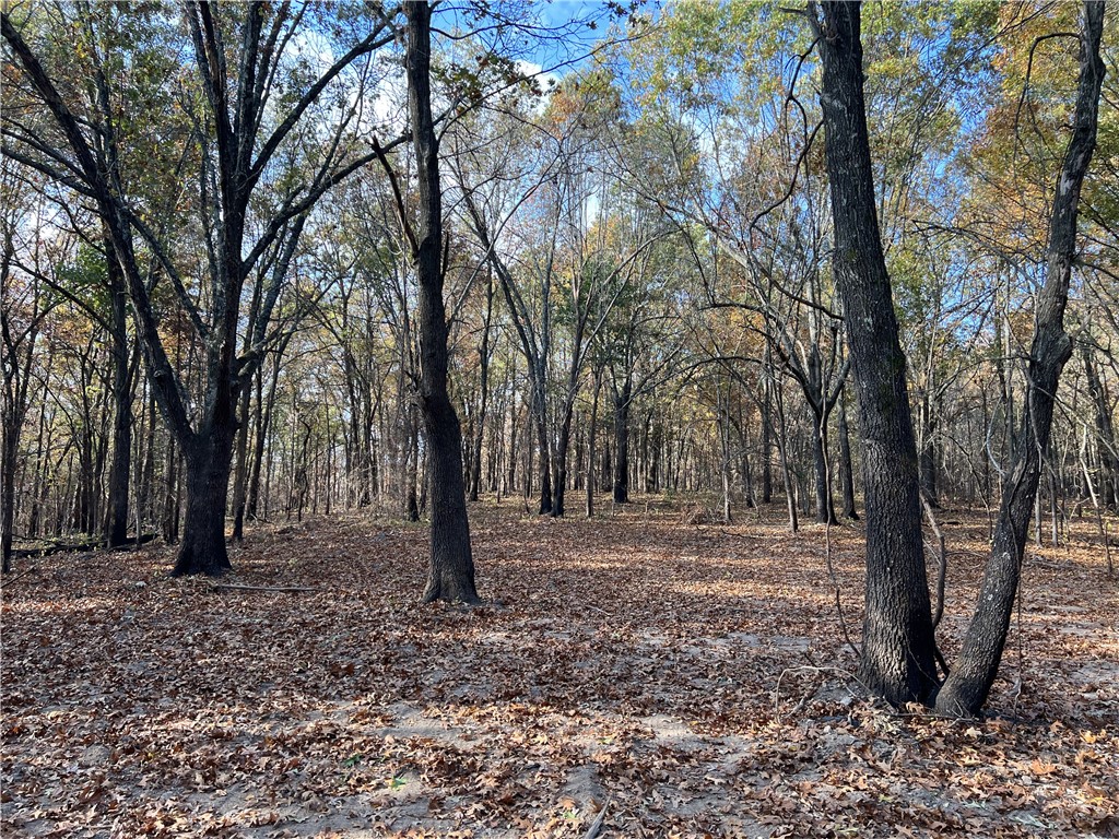 Nice View for the 10.61 Acres. The property features a level secluded building site with lots of hardwood trees, no property restrictions, and electric is available. Call today to schedule a showing.