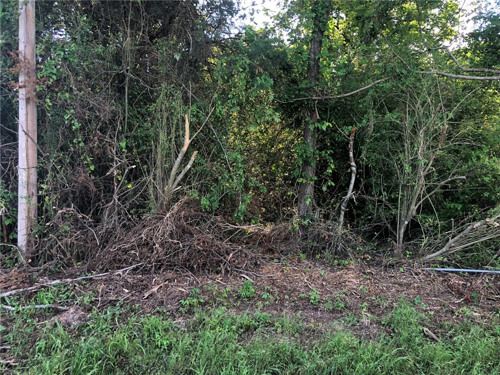 Owner says old well and septic however it is unknown if they are useable. Utilities at street/road. NO Seller disclosure.