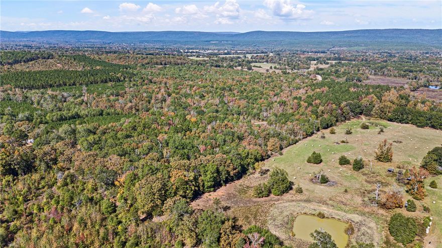 Discover the perfect slice of the Arkansas countryside with this beautiful 53+/- acre property located in Bluffton, within the Two Rivers School District. This rural retreat offers peace, privacy, and plenty of space to create your dream homestead, hobby farm, or weekend getaway. Enjoy breathtaking forest views and the serenity of nature, with the national forest just minutes away. A well is already on site, giving you a head start on building your vision. Whether you’re seeking a quiet place to live or land to explore, this property offers unlimited possibilities in a truly scenic setting.