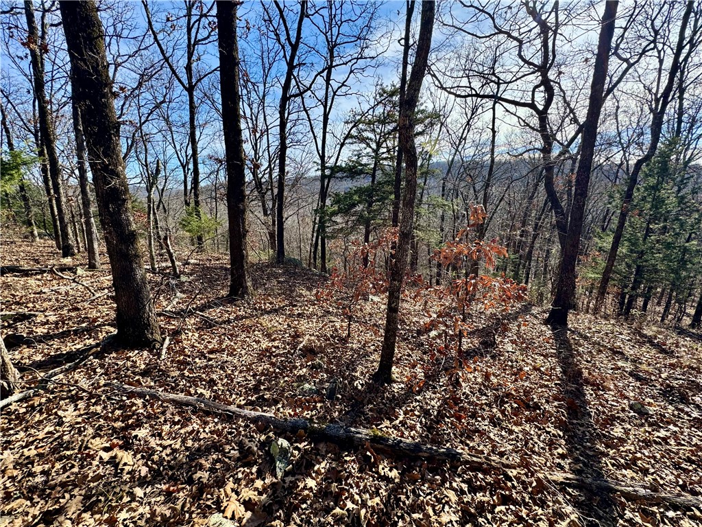 Wilderness Run Ph I - Farm