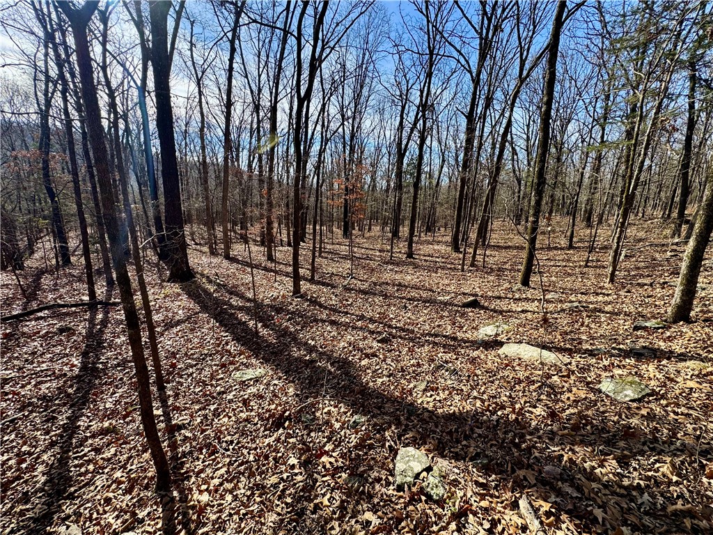 Wilderness Run Ph I - Farm