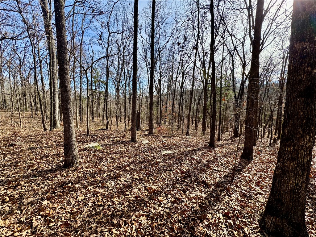 Wilderness Run Ph I - Farm