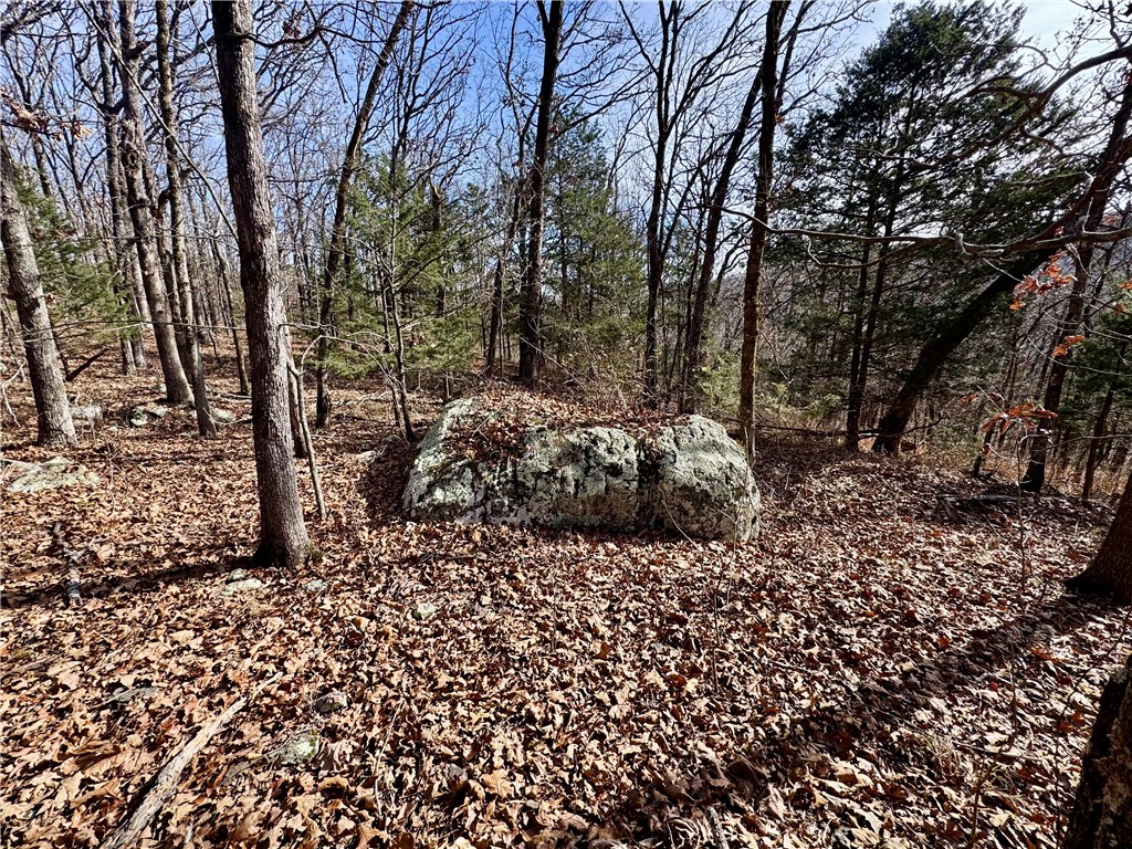 Wilderness Run Ph I - Farm