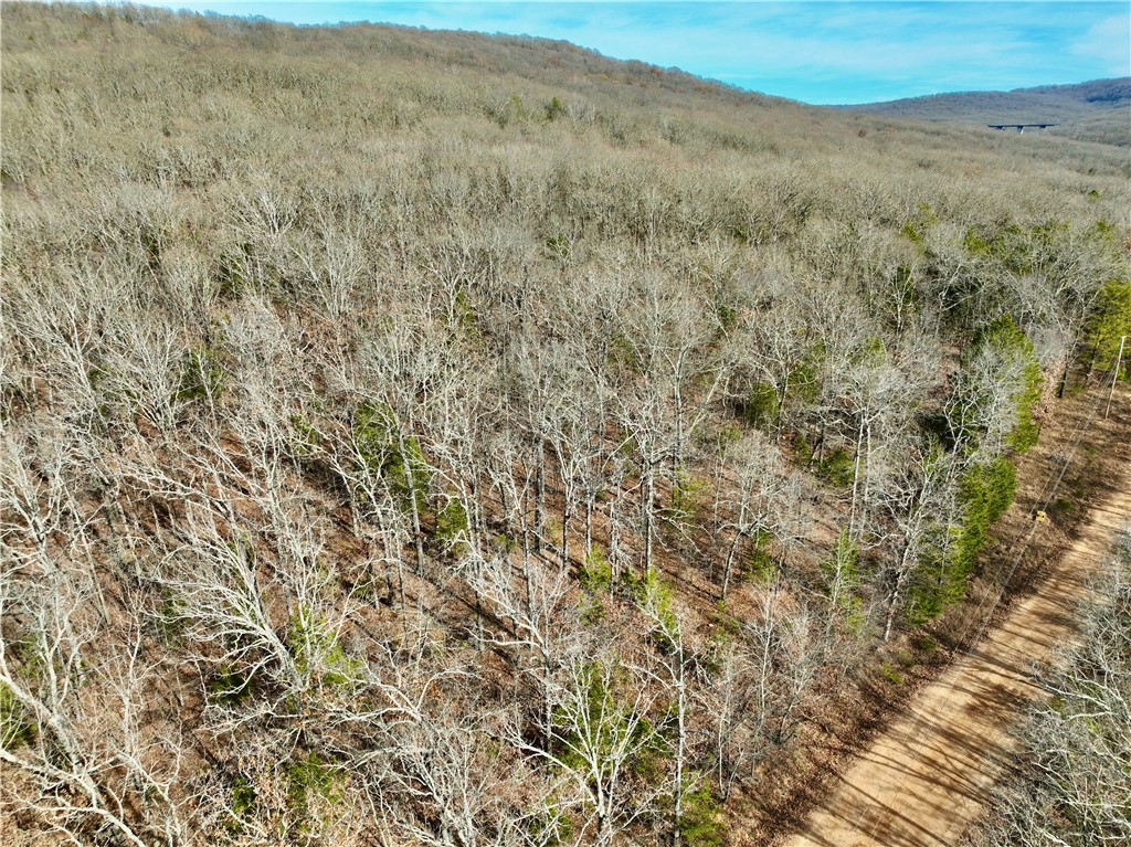 Wilderness Run Ph I - Farm