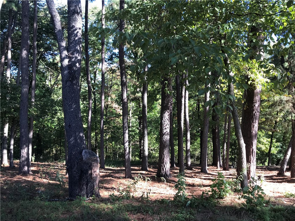 Double Residential lot in Bella Vista with building potential! Near Loch Lomond, Gravette School District, Easy access to I49 for daily commute.