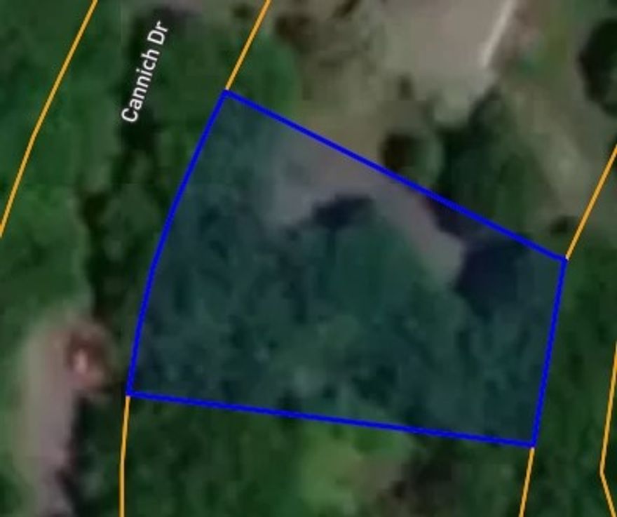 This wooded lot offers the perfect blend of privacy and convenience, with easy access to trails, golf courses, lakes, and all the amenities Bella Vista is known for. Enjoy peaceful surroundings and the natural beauty of the Ozarks while staying close to shopping, dining, and major highways. Don’t miss your chance to make this lot the site of your next home or investment property!