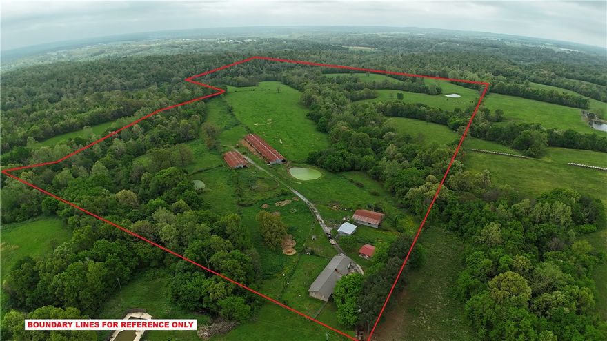 Set on 99.35 breathtaking acres, where you can hunt edible mushrooms for a hobby! This 1,820 SF home offers the perfect blend of comfort, privacy, & usableland. The home features 3 bedrooms & 3 baths, including two spacious primary suites, ideal for multi-generational living or guests. Warm, inviting open floor plan heated by a wood stove or HVAC. Flex space could be a den, office area, or a mud room leading to the 2-car garage. The land is truly special—beautiful rolling acreage with multiple springs, a wet-weather creek, open pasture, and partially wooded areas, perfect for farming, recreation, or simply enjoying nature. A charming she-shed/guest house includes a mini-split air handler, internet, full bath, & additional storage, making it ideal for guests, a home office, or studio space. Multiple outbuildings for storing hay or farm equipment. *Owners will consider owner financing option with acceptable terms and sufficient down payment*