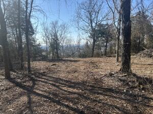 **Exceptional Bluff View Vacant Land - 5 Acres of Possibilities!**Discover the perfect canvas for your dream home on this stunning 5-acre parcel of surveyed land, offering breathtaking bluff views and the freedom to design exactly what you envision--free of restrictions! Embrace the tranquility of nature while enjoying the convenience of nearby amenities. This idyllic location is ideal for those seeking a private retreat or an opportunity for investment. With ample space to build and explore, you can create your sanctuary, complete with picturesque vistas and endless possibilities.Don't miss this rare opportunity to own your piece of paradise. Seize the chance to transform your dreams into reality! Contact us today for more details.